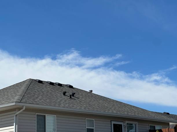 Best Flat Roofing  in Newport, RI
